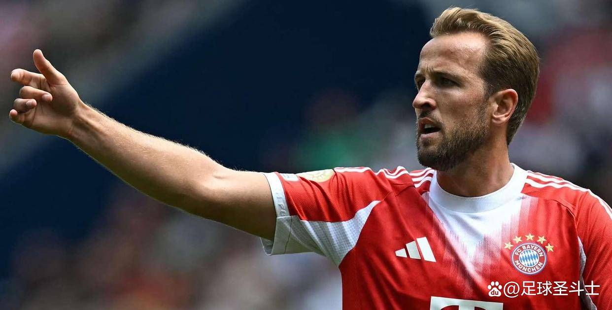 最稳健的中, 队里于帕梅, 代表人物是 最稳健的中, 队里于帕梅, 代表人物是